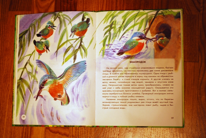 Книга о животных и маленькие географические атласы.