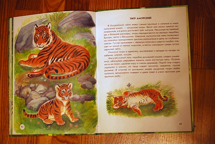Книга о животных и маленькие географические атласы.