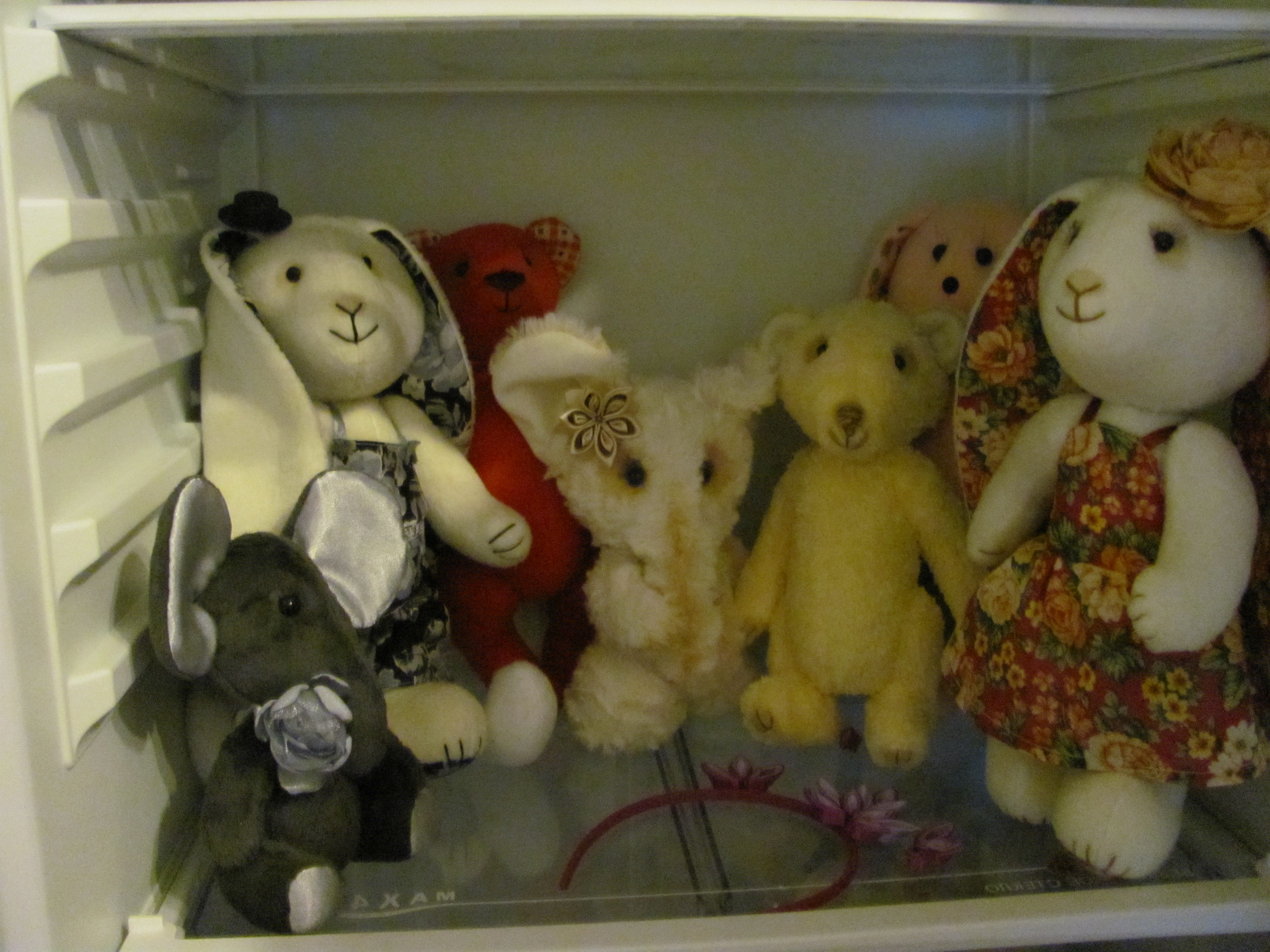 Жизнь в холодильника