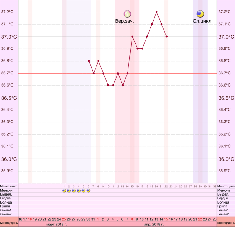 График беременности. Имплантационное западение на графике БТ. Беременный график БТ. Графики с беременностью. График забеременеть.
