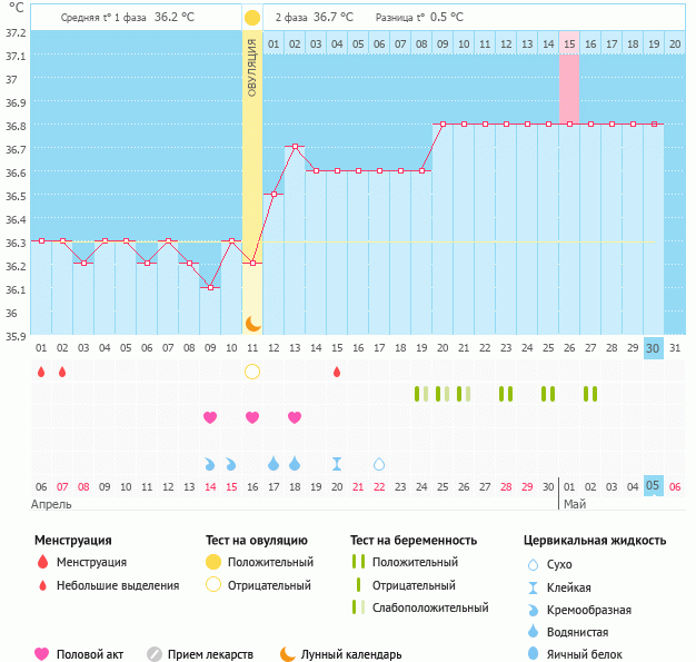 Температура форум. Беременные графики БТ С ранней овуляцией. График базальной беременность. Беременный график БТ С овуляцией. Беременный и небеременный график БТ.