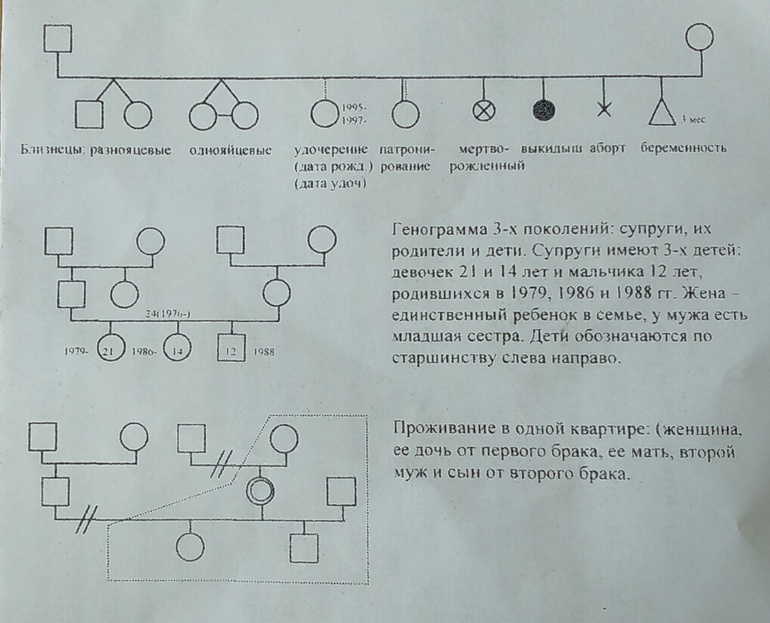 Программное обеспечение и визуальное решение для создания генограмм