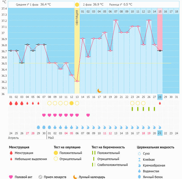 Ановуляторный цикл