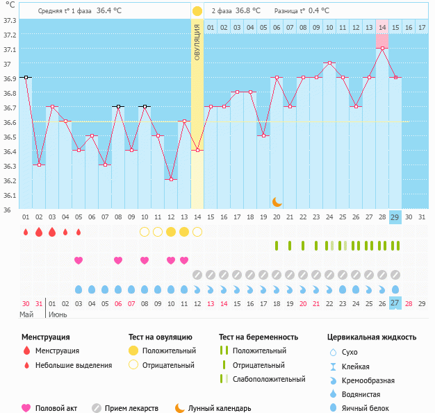 Ура! Мой график беременный! - Графики базальной температуры