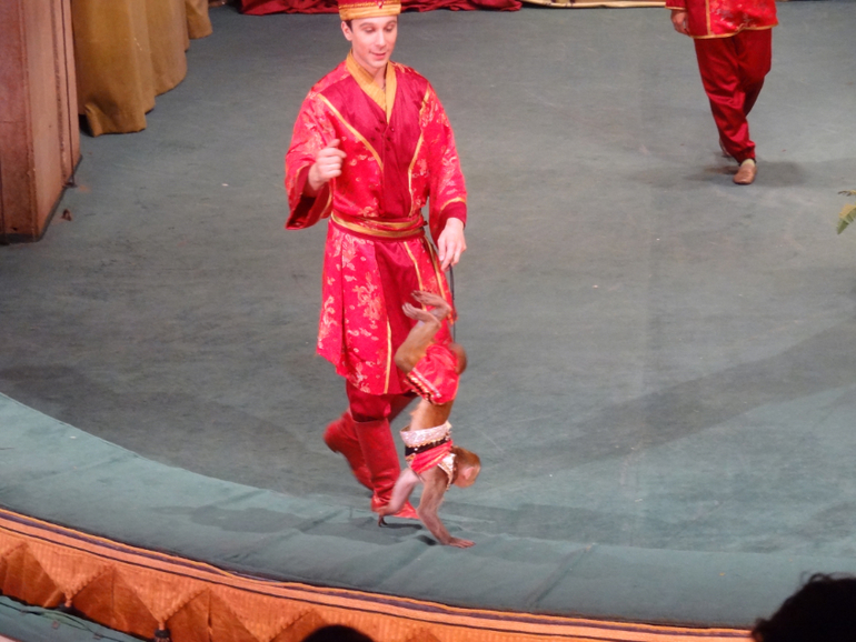 А мы сегодня были 