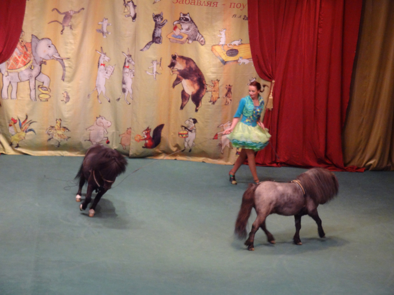 А мы сегодня были 