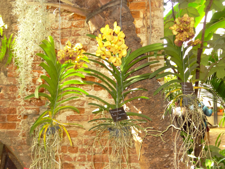 Выставка в аптекарском огороде