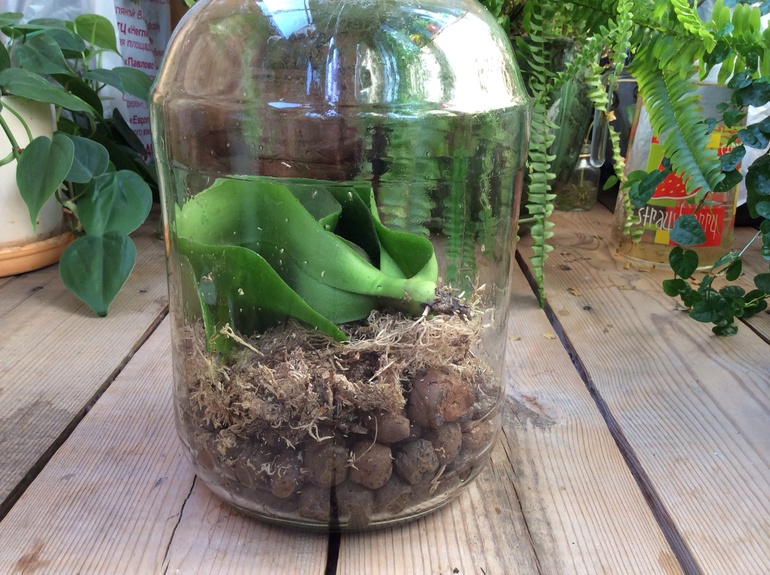 Орха. Наша реанимация.