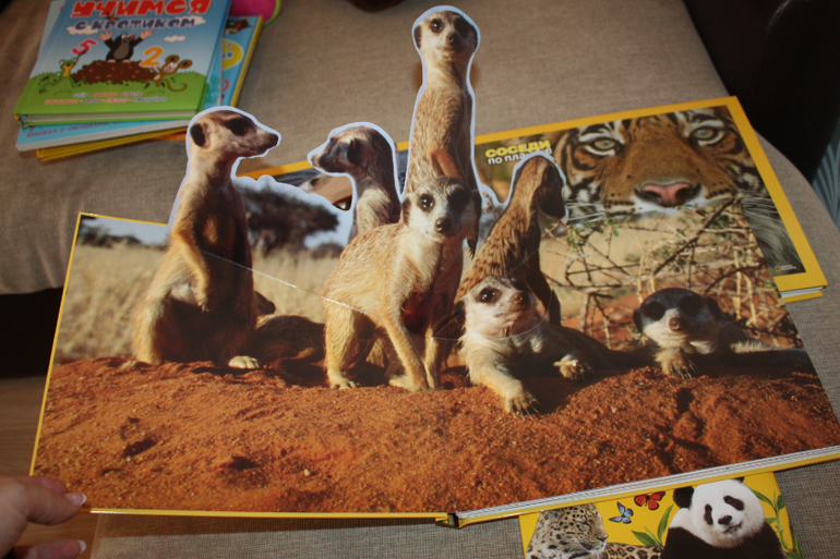 Пополнение на книжной полке)