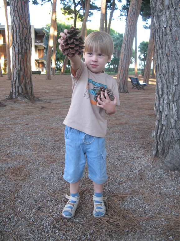 Ну, вот и мы съездили на море!