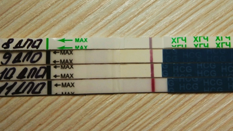 11 дпо. 11 ДПО тест на овуляцию. 28 День цикла 11 ДПО. Цикл 28 дней на 11 ДПО тест отрицательный. 11 ДПО при 28 дневном цикле.