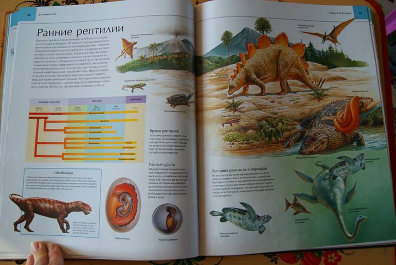 Иллюстрированный атлас Динозавры (Махаон)