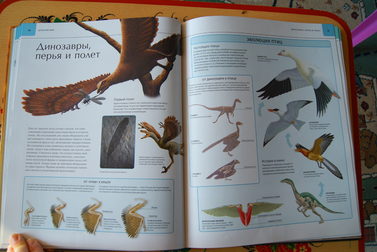 Иллюстрированный атлас Динозавры (Махаон)