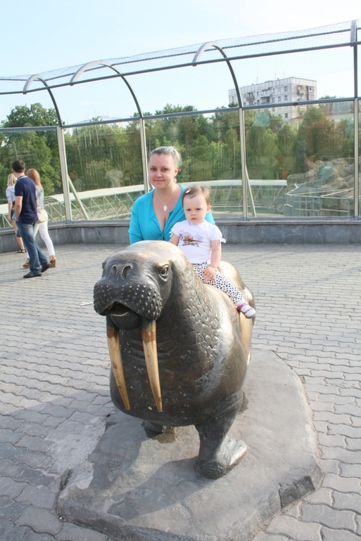 ФМ ТН Арктика и Антарктика