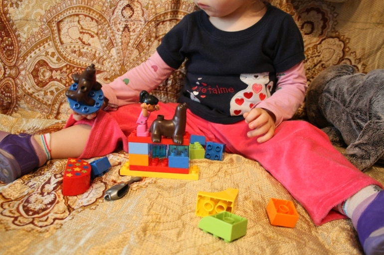 ФМ ТН Арктика и Антарктика