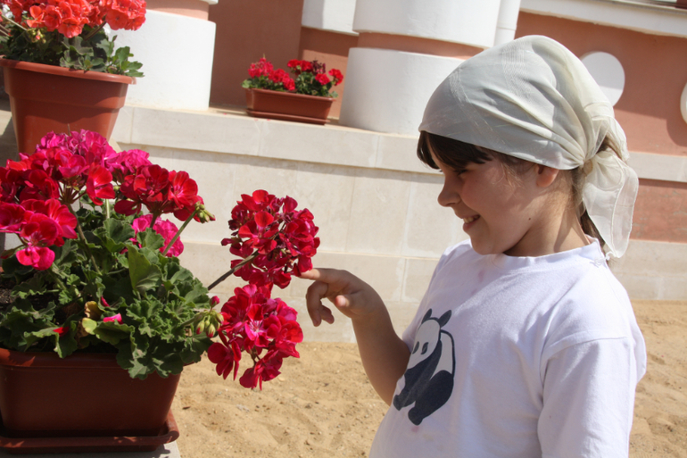 Николо-Пешношский православный мужской монастырь