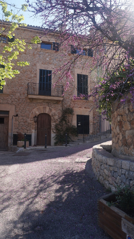 ТРАНСФЕР в Испании (Майорка/ MALLORCA)