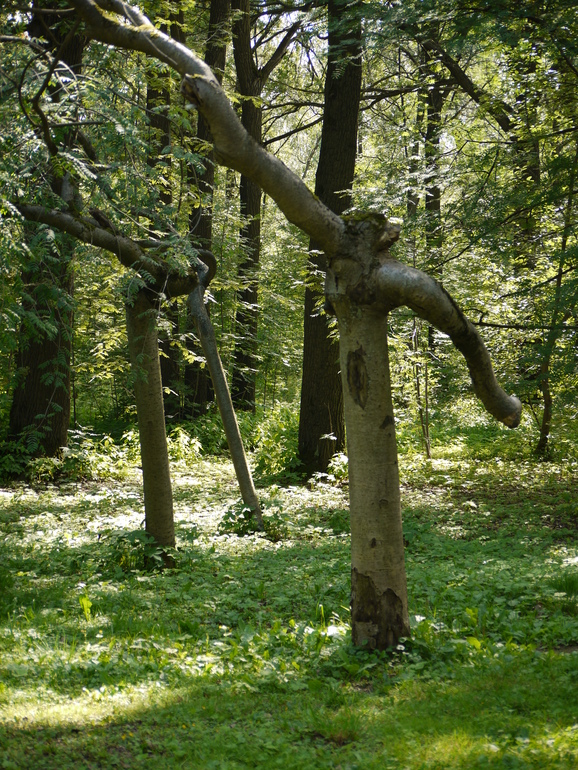 Фотки природы.