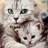 ТУТ ВСЕМ БОЛЬШОЕ СПАСИБО ЗА ОБМЕН!!! БУДУ РАДА МЕНЯТЬСЯ ЕЩЕ)))