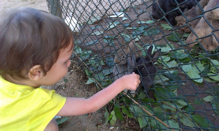 Наша первая заграничная поездка с семьей!