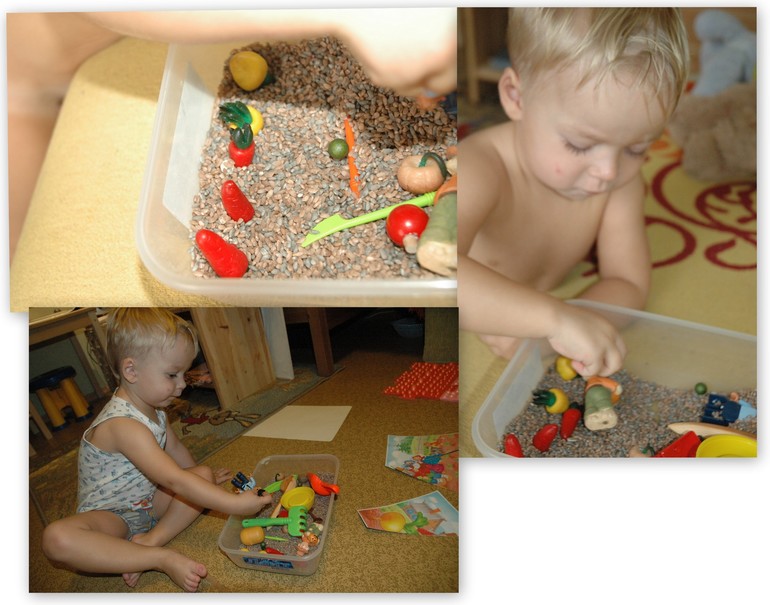 ФМ Овощи день 3