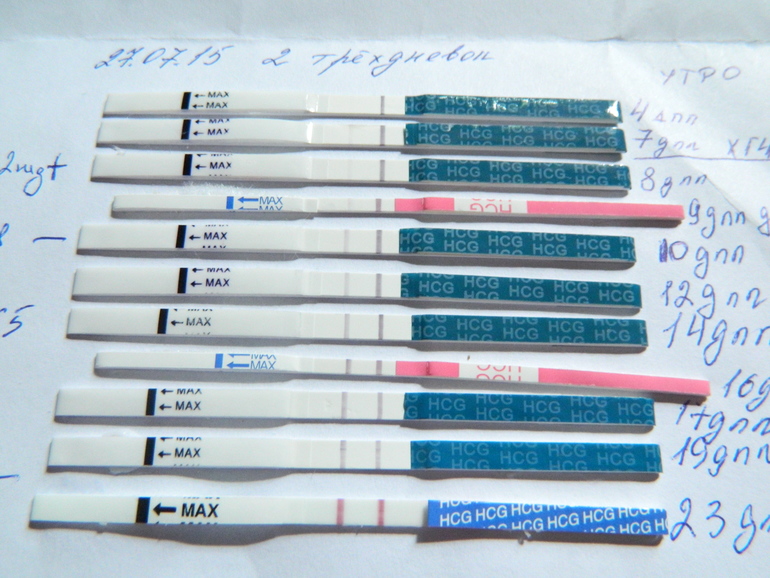 Удачный криоперенос форум. Тесты после подсадки трехдневок. Тест на беременность после эко. Тест на беременность после подсадки. Тест на беременность после криопереноса.
