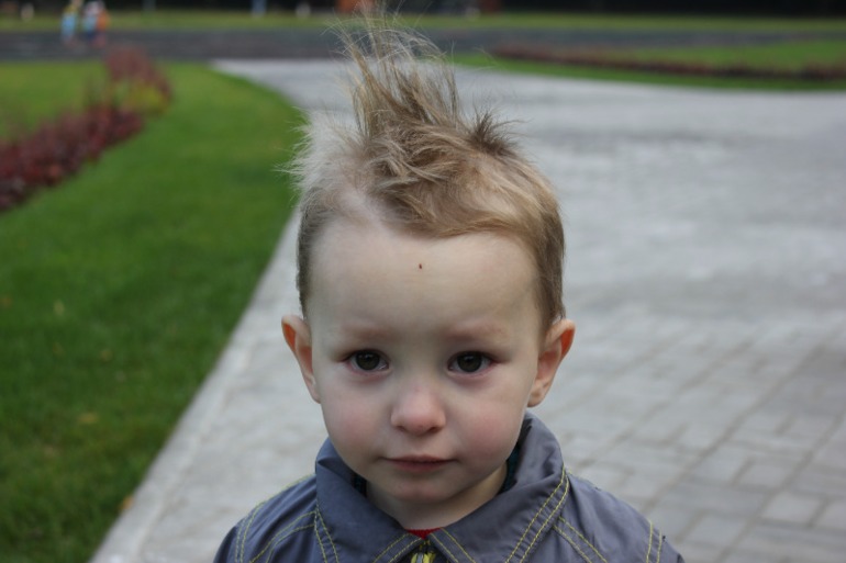 прогулка с невестами из сада)