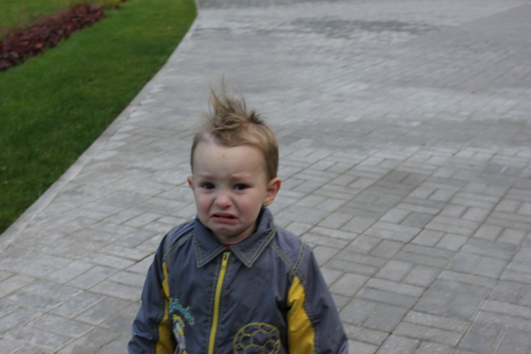 прогулка с невестами из сада)