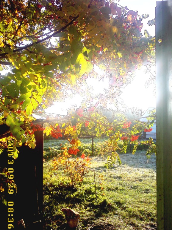 Воскресенье.