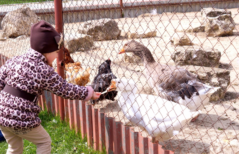 Солянка из майских прогулок