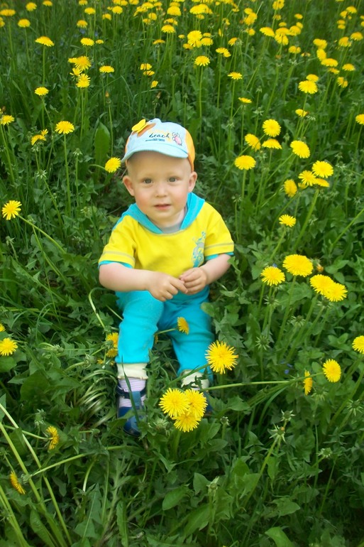 Вот и лето пришло!