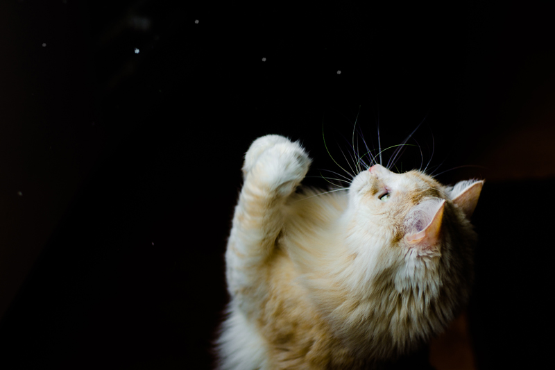 А в Москве снова зима