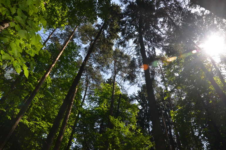 Здравствуй, лето - 2014! (18 мая)