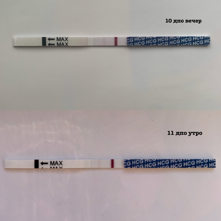 Тест на беременность вечером. 12 ДПО тест на беременность. Фрау тест 11 ДПО. 11 ДПО тест на беременность отрицательный. 11 ДПО тест на беременность.