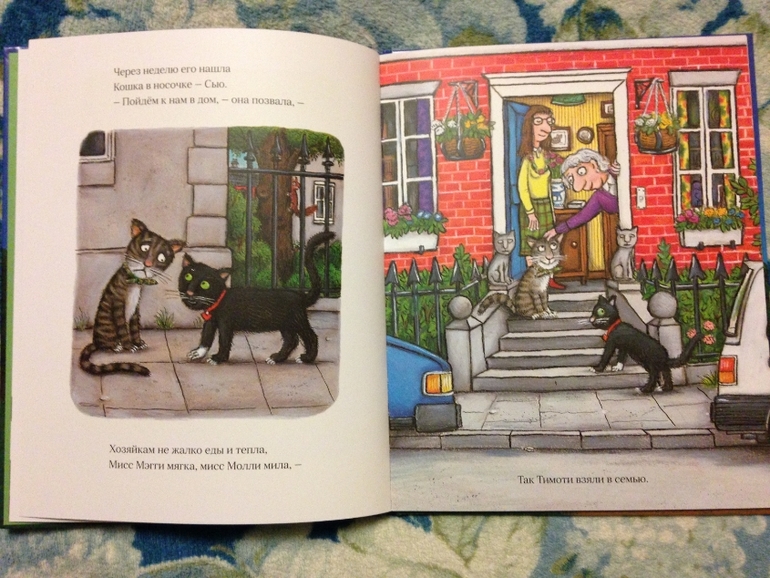 Новые книги