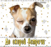 Информационный пост по закупкам!
