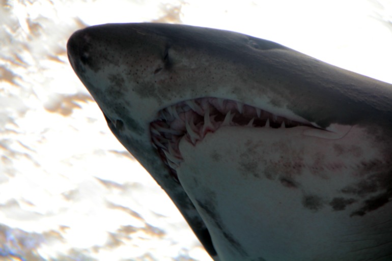 Наше путешествие в частичку Греции. остров Крит.