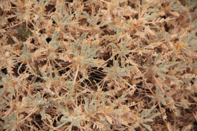 Наше путешествие в частичку Греции. остров Крит.