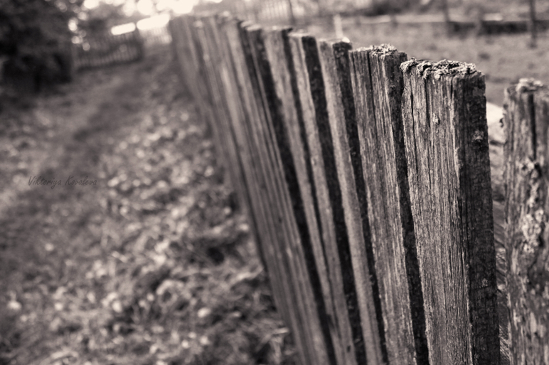 Покритикуйте,пожалуйста