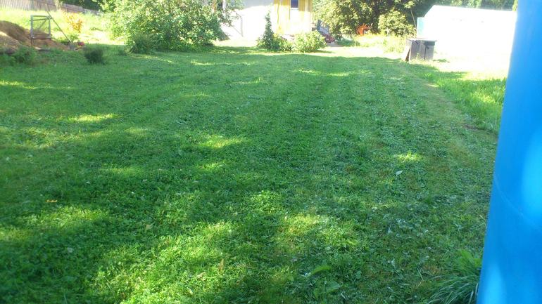 Газонокосилка от папы мужа.