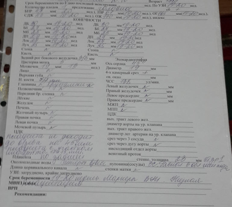 Узи 2 скрининга