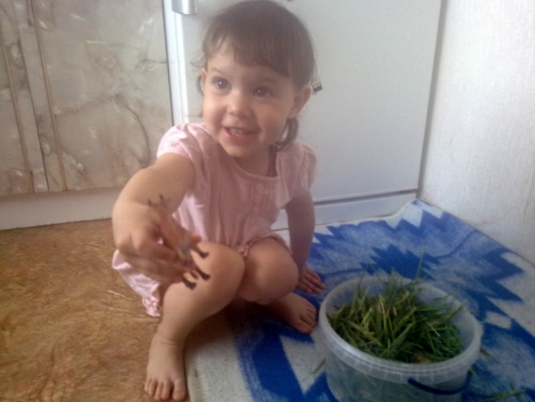 ФМ Домашние животные День 1