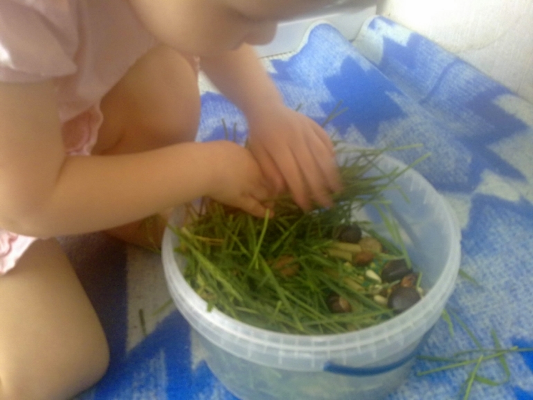 ФМ Домашние животные День 1