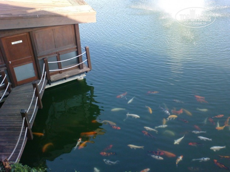 SUENO GOLF BELEK 5* СПЕЦПРЕДЛОЖЕНИЕ!!!! июнь!