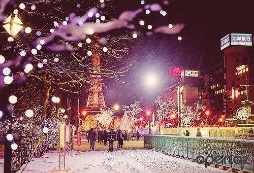 Париж на НГ и Рождество! Тур жд + автобус на 10 дней!