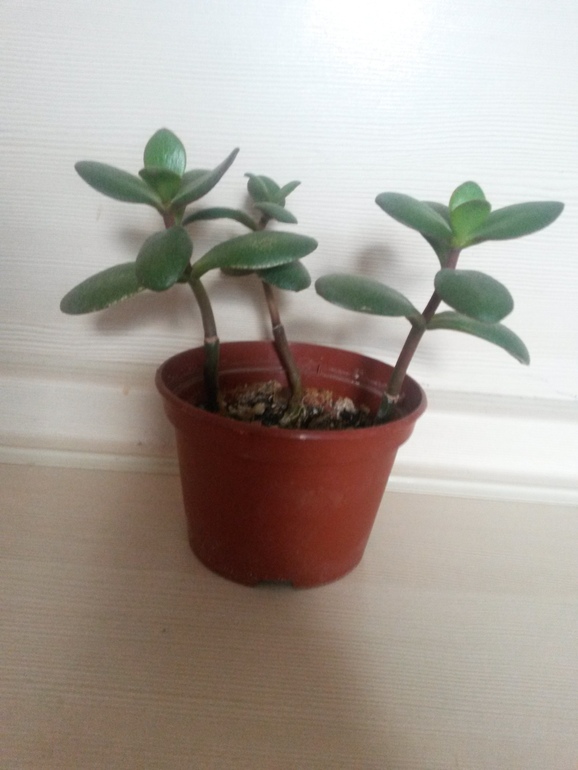 Эксперименты