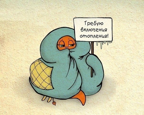 Нет жизни за МКАДом