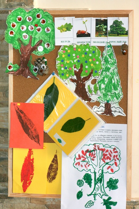 Юные натуралисты, или Как мы с деревьями знакомились