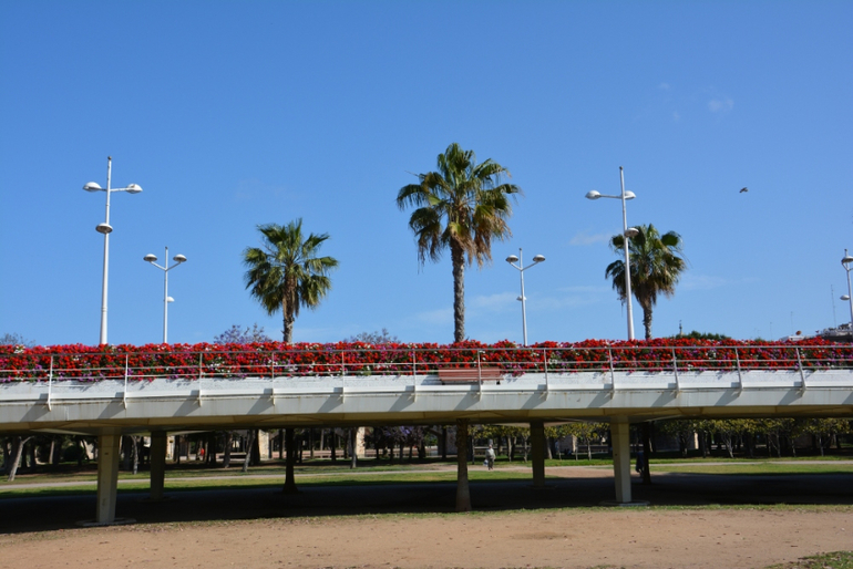 Вернулись из Валенсии