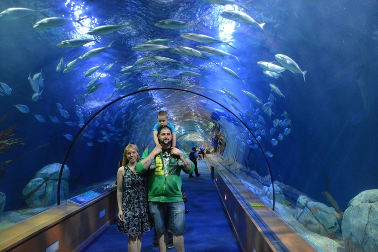 Вернулись из Валенсии